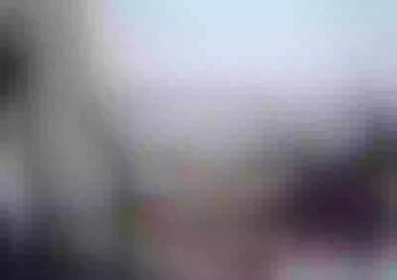 Live sex webcam photo for KarolBrooklyns #2120528