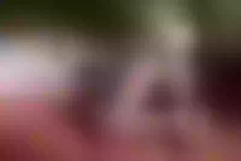 Live sex webcam photo for Sharen #2164882