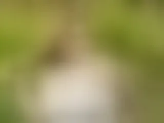 Live sex webcam photo for BonnieWhitee