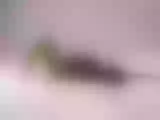 Live sex webcam photo for MellyOhana