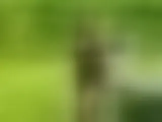 Live sex webcam photo for NasKylie