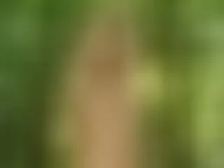 Live sex webcam photo for NattyPierce