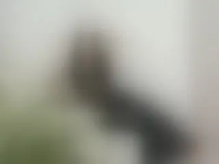 Live sex webcam photo for RossiThomas