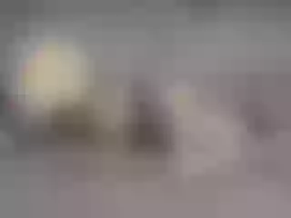Live sex webcam photo for SavanahWildC