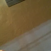 Live sex webcam photo for ANALOGY369 #276289777