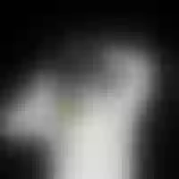 Live sex webcam photo for Aapti #277464818