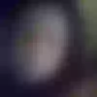 Live sex webcam photo for AbbySexyX #277542321