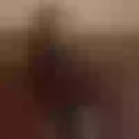 Live sex webcam photo for Adel_honey #277744523