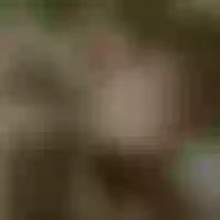 Live sex webcam photo for AgelicVegaa #276238985