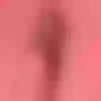 Live sex webcam photo for Alana_Jones_