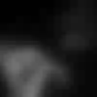 Live sex webcam photo for Aleksia_soon #275975438