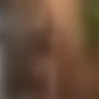Live sex webcam photo for Alexa_priincess