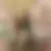Live sex webcam photo for Alexa_veyen #277624136