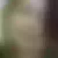 Live sex webcam photo for Anny88_ #277673441