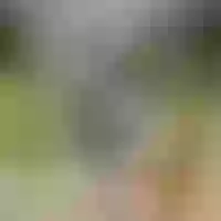 Live sex webcam photo for Ares_Mariel69 #276216274