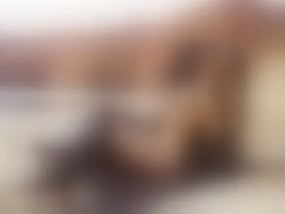 Live sex webcam photo for AriannaMuse #275467124
