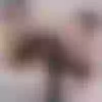 Live sex webcam photo for AshleyFerrer