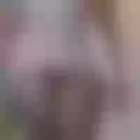 Live sex webcam photo for Bigbotty_wetpussy #276011466