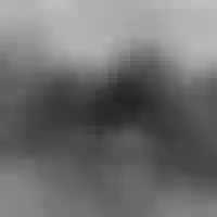 Live sex webcam photo for BlackSexyDiva22 #277297206
