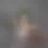 Live sex webcam photo for CarolBarnett #277789921