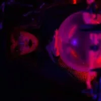 Live sex webcam photo for Celeste_Biig #276672798