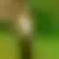 Live sex webcam photo for Dreamgirl_18 #277513334
