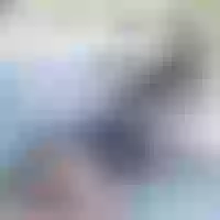 Live sex webcam photo for EbonyRoseGold #277696303