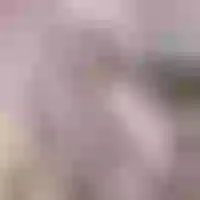 Live sex webcam photo for ElfGrey