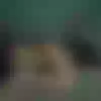 Live sex webcam photo for Eliza_moon #277620942