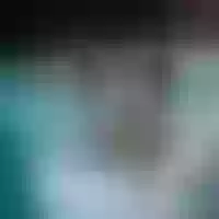 Live sex webcam photo for EllaZaller #277340839
