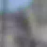 Live sex webcam photo for EstellaBoyd #277715312
