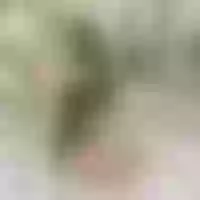 Live sex webcam photo for EvaFoxxie #276432958