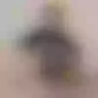 Live sex webcam photo for EvaSpencer #277842909