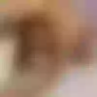 Live sex webcam photo for FrancescaKam #278031167
