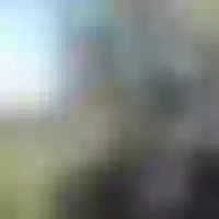 Live sex webcam photo for GloriaShow #276299645