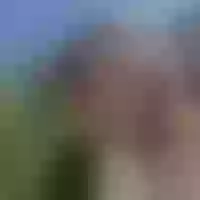 Live sex webcam photo for GraceCharming #277811140