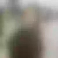 Live sex webcam photo for GraceHickss #277739523