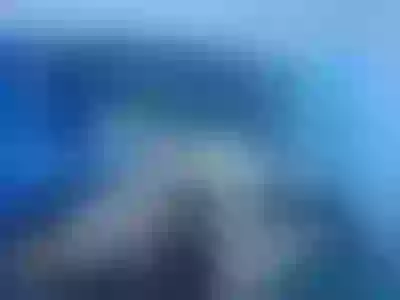 Live sex webcam photo for Hanna_hott- #275655926