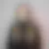 Live sex webcam photo for HollyKennedy #277619707