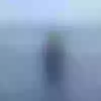 Live sex webcam photo for HotChris32 #277484133