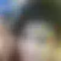Live sex webcam photo for Hotty_booty2 #277484112