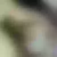 Live sex webcam photo for Iara_Smith1
