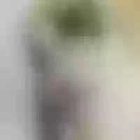 Live sex webcam photo for JAC_NOAH #278122954