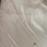 Live sex webcam photo for Jasmine_000 #275973592