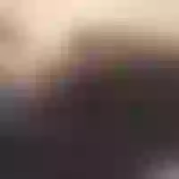 Live sex webcam photo for Jeddyke #277718127