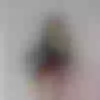Live sex webcam photo for Jennie_Rose #276766100