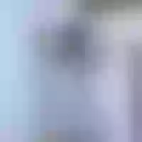 Live sex webcam photo for Jessica-Kraftt