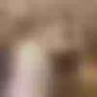 Live sex webcam photo for JulliseandFyrhen #275898809