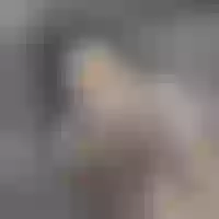 Live sex webcam photo for KailyMiko #275857627