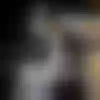 Live sex webcam photo for KalleriaStitch #277575209
